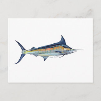 Een Blue Marlin vis briefkaart