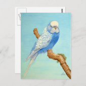 Een boedgie op een tak briefkaart (Voorkant / Achterkant)