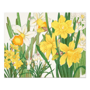 Een Boeket Gele en Witte Narcissen Foto Afdruk