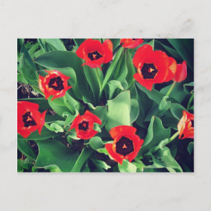 Een boeket tulpen in de tuin briefkaart