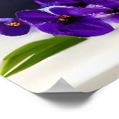 Een boeket van madeliefjes in een vaas poster (Hoek)