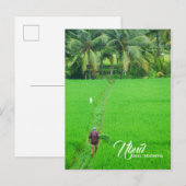 Een boer in een rijstveld in Ubud, Bali, Indonesië Aankondigingskaart (Voorkant / Achterkant)