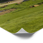 Een boerderij in het Barnet-centrum in Vermont. Co Poster (Hoek)