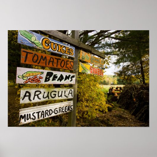 Een boerderij in Holderness, New Hampshire. Poster (Voorkant)