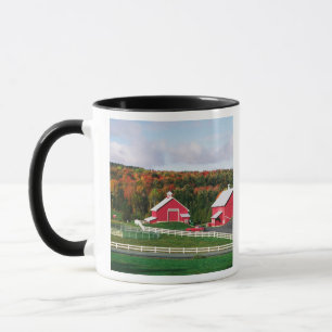 Een boerderij in Vermont nabij Peacham. VRIJGAVE Mok
