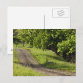 Een boerderij weg in Ipswich, Massachusetts. Briefkaart (Voorkant / Achterkant)