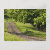 Een boerderij weg in Ipswich, Massachusetts. Briefkaart (Voorkant)