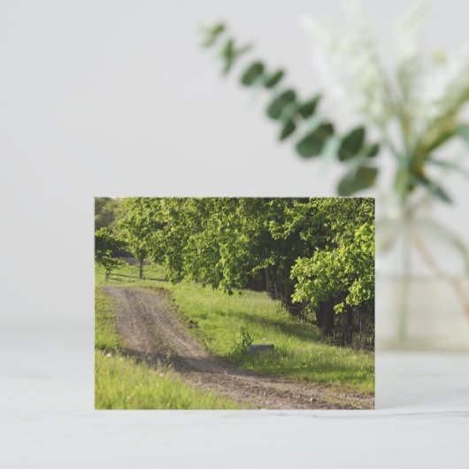 Een boerderij weg in Ipswich, Massachusetts. Briefkaart (Staand voorkant)