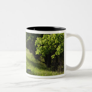 Een boerderij weg in Ipswich, Massachusetts. Tweekleurige Koffiemok