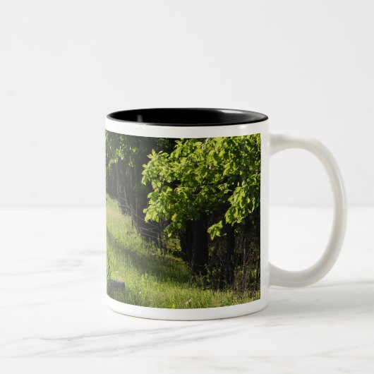 Een boerderij weg in Ipswich, Massachusetts. Tweekleurige Koffiemok (Rechts)