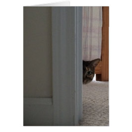 Een Boo! Krattenkaart