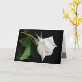 Een boog aan Ochtend Kaart (Gele Bloem)