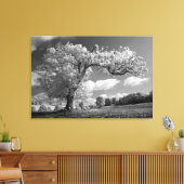 Een boom blaast in de wind canvas afdruk (Insitu (Woonkamer))