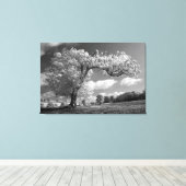 Een boom blaast in de wind canvas afdruk (Insitu (Houten vloer))