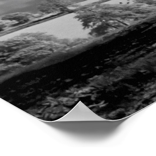 Een boom blaast in de wind poster (Hoek)