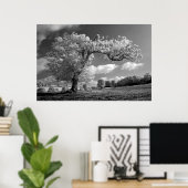 Een boom blaast in de wind poster (Thuiskantoor)