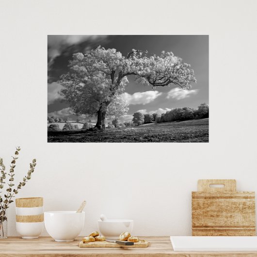 Een boom blaast in de wind poster (Keuken)