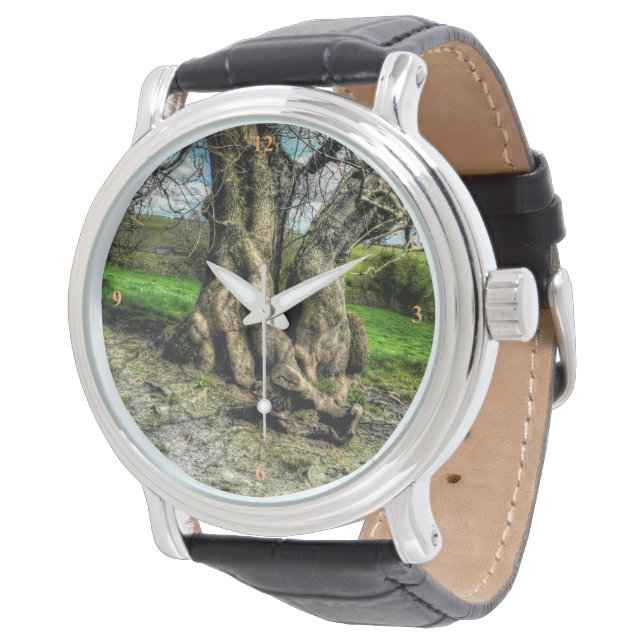 Een boom in een pool van licht horloge (Gekanteld)