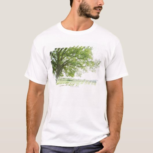 Een boom in het grasveld t-shirt (Voorkant)