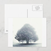 Een boom in mist briefkaart (Voorkant / Achterkant)