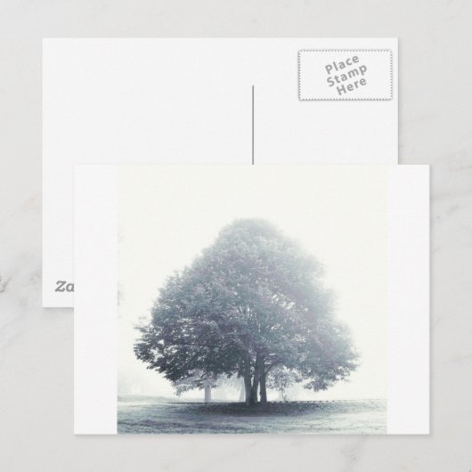Een boom in mist briefkaart (Voorkant / Achterkant)