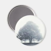 Een boom in mist magneet (Voorkant / Achterkant)
