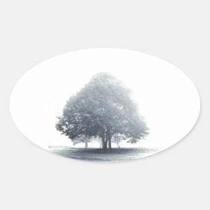 Een boom in mist ovale sticker