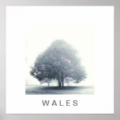 Een boom in mist poster (Voorkant)