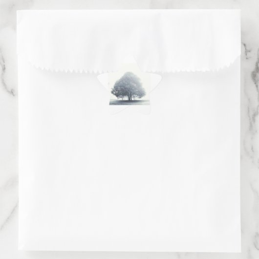 Een boom in mist ster sticker (Tas)