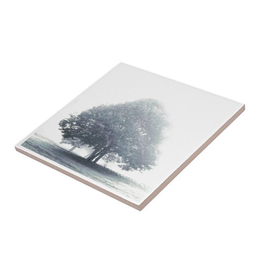Een boom in mist tegeltje (Zijkant)