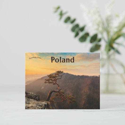 Een boom in Pijninj Polen Briefkaart (Staand voorkant)