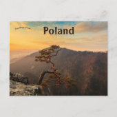 Een boom in Pijninj Polen Briefkaart (Voorkant)