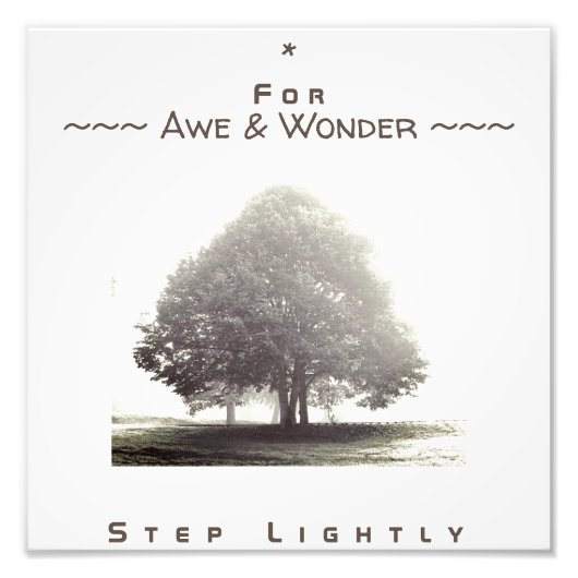 Een boom in Poster van de Massa met om het even we (Voorkant)