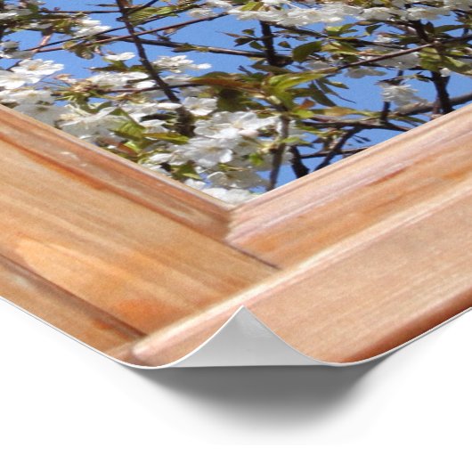 Een Boom in Uitzicht Springtime van een Venster Poster (Hoek)