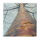 Een boom opzoeken tegeltje (Voorkant)