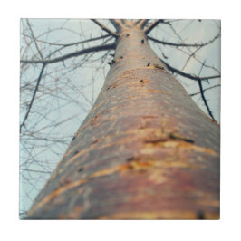 Een boom opzoeken tegeltje