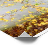 Eén boom poster (Hoek)