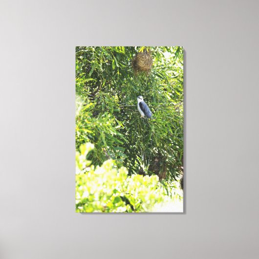Een boomknol op een boom canvas afdruk (Voorkant)