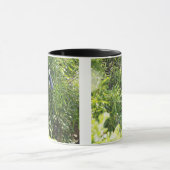 Een boomknol op een boom mok (Midden)