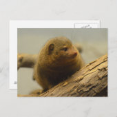 Een boomvertakking maken briefkaart (Voorkant / Achterkant)