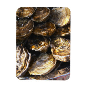 Een bord met oesters. magneet