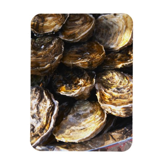 Een bord met oesters. magneet (Verticaal)