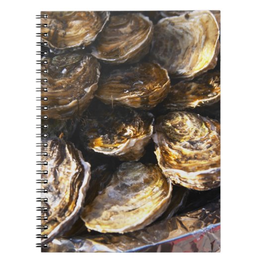 Een bord met oesters. notitieboek (Voorkant)
