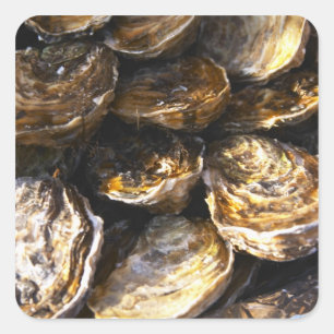 Een bord met oesters. vierkante sticker