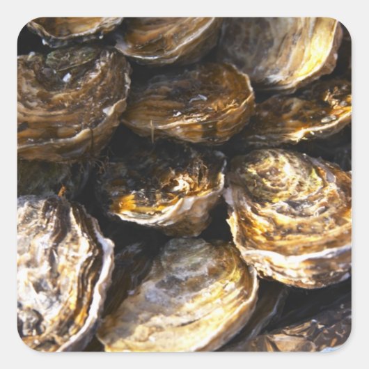 Een bord met oesters. vierkante sticker (Voorkant)