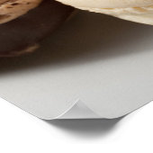 Een bord van chocolade en vanille-Macarons, de Poster (Hoek)