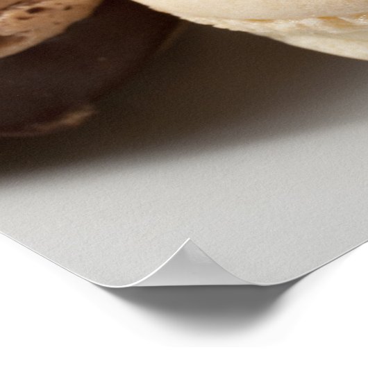 Een bord van chocolade en vanille-Macarons, de Poster (Hoek)