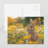 Een borstel van Natuur: Konijn Briefkaart (Voorkant / Achterkant)