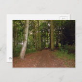 Een bos loopt. briefkaart (Voorkant / Achterkant)