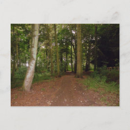 Een bos loopt. briefkaart
